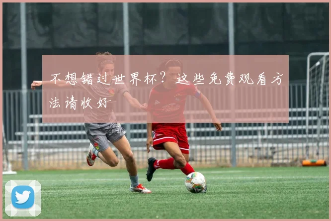 不想错过世界杯？这些免费观看方法请收好