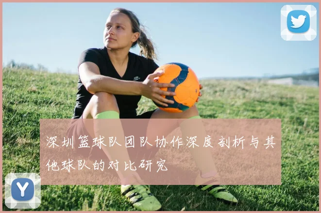 深圳篮球队团队协作深度剖析与其他球队的对比研究